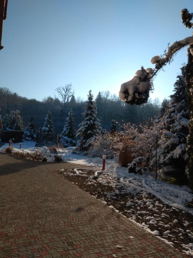 Вілла Едельвейс Morshyn Exterior photo